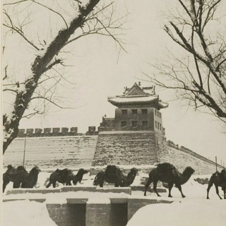北京同城