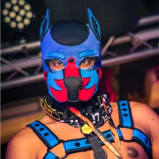 Blitz The Fox | 🔜 CFz 26