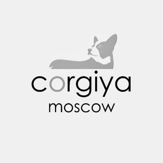 Corgiya™ Chat