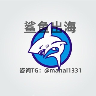 鲨鱼出海
