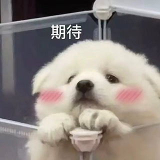 TH交流群