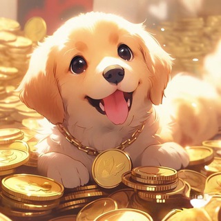 $$遇见金狗｜Meet with Golden Dog