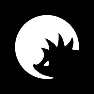 CyberYozh Academy Support