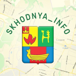 Skhodnya Info Чат