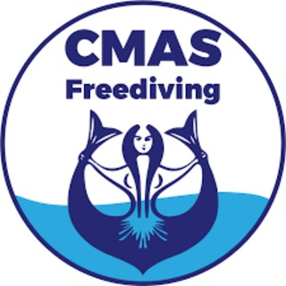 CMAS в России, ФПСР - чат