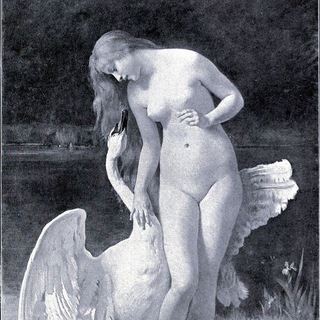 antiquas: відгуки