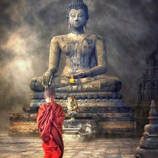 Sơn Lại Cuộc Đời
