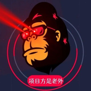 项目方是老外