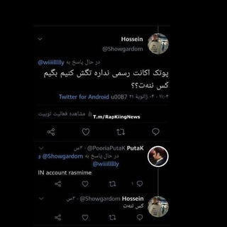 شواهد بیناموسی پوتک