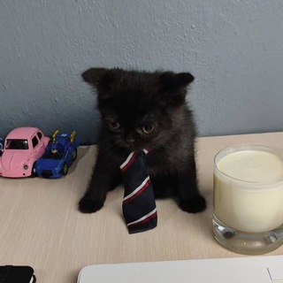 manager apathyxd