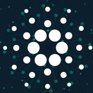 My Cripto Team