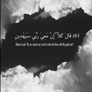 نبض.🖤