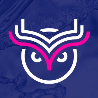 LiquidNFTs - A Wise Token Product