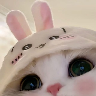 苏泡泡