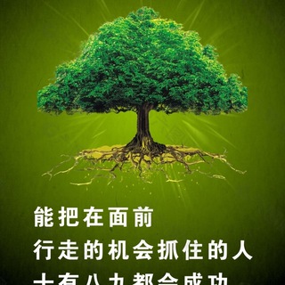 U8国际【官网】