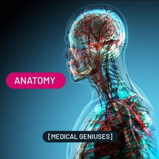 Anatomy/Embryology [MG]