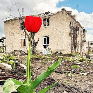 Для связи: Малыш