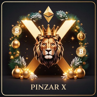 Pinzar X