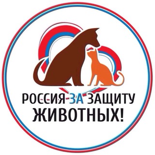 Собачники Сочи, собаки, котики, лапы, потеряшки, поиск, кошки, поиск, животные, ищу дом, в добрые руки, Сочи, Адлер, Мацеста