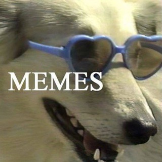 meme archivarius