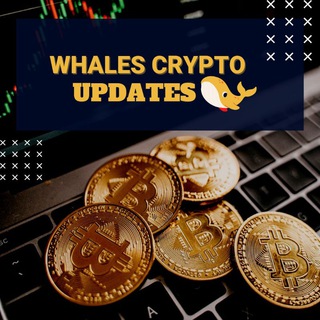 Whale Crypto Updates 🐳