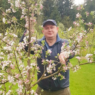 Сад Дмитрия forumsad Всё об уходе за плодовым садом