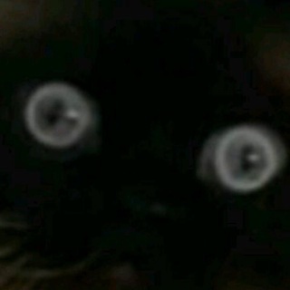 👀 Стік △ ✙ #УкрТг