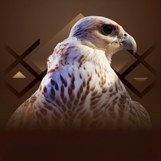 زاد الرمـاي