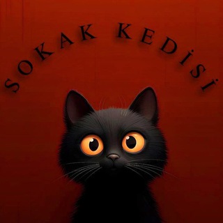 SOKAK KEDİSİ 🐈📖