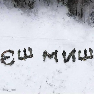 Єш миш 🐭🦅🇺🇦🍉