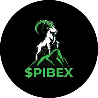 $PIBEX