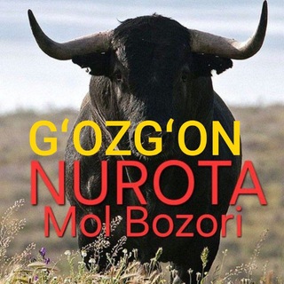 «NAVOI— BUXORO GʻOZGʻON😎»Mol Bozor 🐄