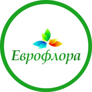 Еврофлора Краснодар