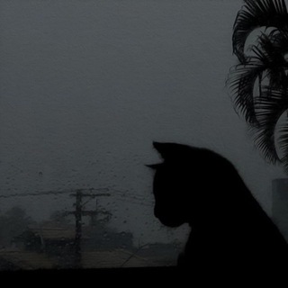howie — @tiktoked