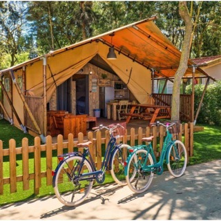 Camping con niños Zona Este