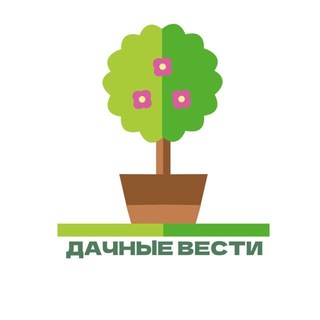 ДАЧНЫЕ ВЕСТИ - чат 🔥🌳🏡