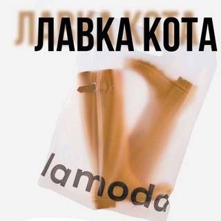 Ламода | Кот 🐈