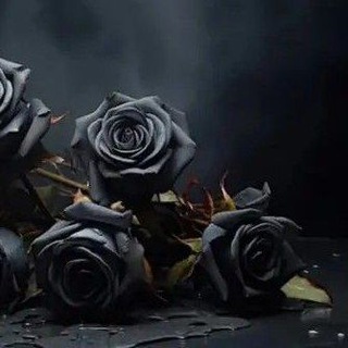 Άτρισα η κόρη του βουνού ❥‌‌‌‌‌‌‌‌‌‌‌‌‌‎‌‌‌‎‌‌‌‌‎‌‌‌‌‌‌‌‌‌‌‌‌‌‌