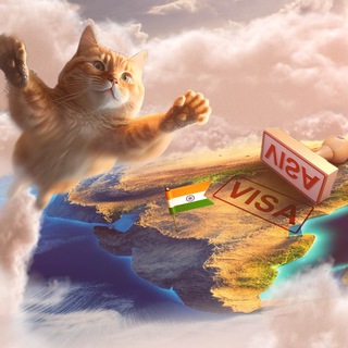Виза в Индию. Ввоз животных indian-visa.ru