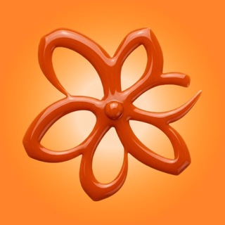 Irisk_pro