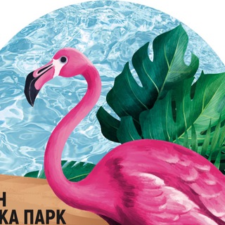 Бассейн | Сосновка Парк
