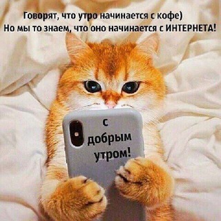 Татьяна Николаева