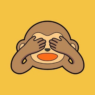 Wise Monkey