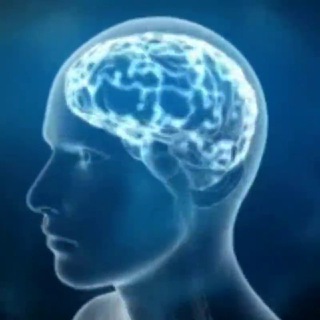 The MindHack — Neuro/bio-hacking & self-development