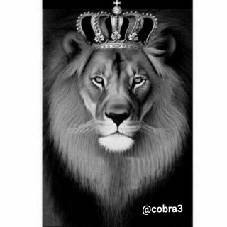 للتواصل والتمويل❤️