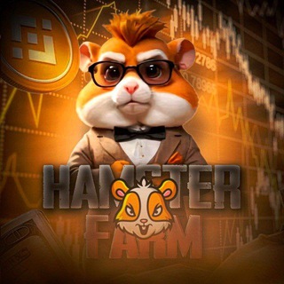 Crazy Hamster🐹