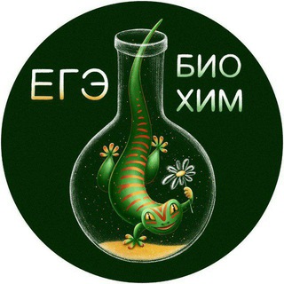 Мутабор 🦎