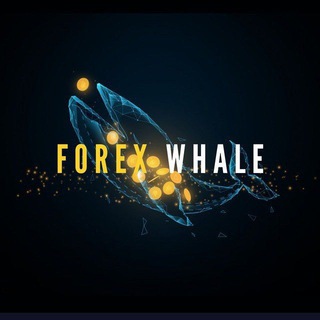 FOREX WHALES 🐳