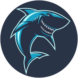 SHARKOIN (BEP20 Token)