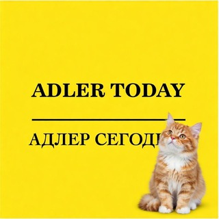 Чат Адлер Сегодня